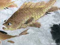 艺术家冯增木日记:《祥和自如》《泉清鱼乐》《》近作几幅斗方彩鱼,略施金粉,效果【图4】