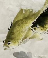 艺术家冯增木日记:《祥和自如》《泉清鱼乐》《》近作几幅斗方彩鱼,略施金粉,效果【图5】