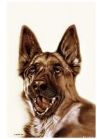 艺术家田玉田视频:<br>8月22日完成的烙画新作《神犬》,尺寸60X80cm【图0】