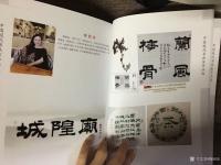 艺术家梅丽琼收藏:由中国言实出版社的《中国现代书画家作品选》在新华书店发行,第【图5】