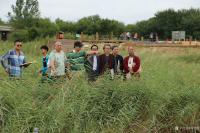 艺术家刘建国收藏:艺术长卷《神韵鹤乡图》定稿,不日将展出【图0】