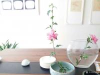 艺术家马晓薇日记:年年岁岁花相似,岁岁年年人不同,完成扇面工笔写生花卉一幅,【图0】