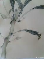 艺术家马晓薇日记:曲阑凤子花开后,捣入金盆瘦。银甲暂教除,染上春纤,一夜深红透【图4】