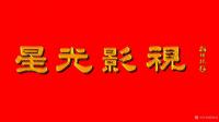 艺术家梅丽琼日记:央视开了档栏目叫《国学盛典》,现在电子屏、宣传册、彩页、手提【图5】
