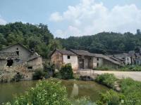 艺术家石广生日记:《送程磊兄之随州》友石广生作
寒潮越南岭,铁龙望北驰。
【图3】