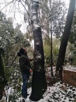 艺术家王华中生活:雪中放纵-下场雪实在不易,雪中癫一次,酒杯里添加点雪美味十足【图2】