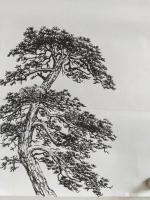 艺术家吕双日记:国画如何画树杆?树枝的趋向和疏密,组合起来才算是一颗完整的大【图2】