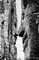 艺术家马培童日记:“袭古创今,开劈新路”马培童焦墨画感悟笔记(97)焦墨画家在【图1】