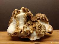 艺术家杨增超收藏:白灵玉原石欣赏《高山积雪》;
白灵玉原石欣赏《年年有鱼》;【图1】