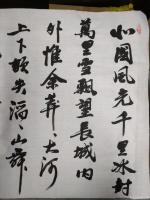 艺术家陈文斌日记:书法家陈文斌书行书录《沁园春.雪》辛丑夏月书;
北国风光,【图0】