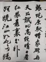 艺术家陈文斌日记:书法家陈文斌书行书录《沁园春.雪》辛丑夏月书;
北国风光,【图1】