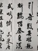 艺术家陈文斌日记:书法家陈文斌书行书录《沁园春.雪》辛丑夏月书;
北国风光,【图2】