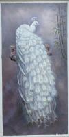 艺术家黎群日记:油画作品《纯洁》尺寸80X160㎝，白孔雀其全身洁白无瑕,羽【图0】