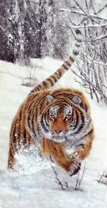 艺术品图片：艺术家艾大伟国画作品名称《猛虎捕食》议价