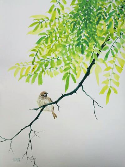 王征明日记-这些年我水意画的内容，如果以中国画种类来看有：花鸟、山水，如果以西画分类只有风景【图1】