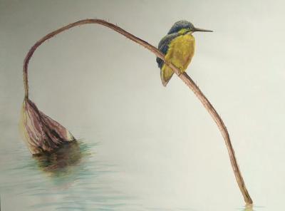王征明日记-这些年我水意画的内容，如果以中国画种类来看有：花鸟、山水，如果以西画分类只有风景【图2】