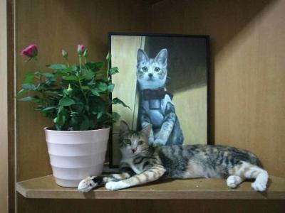 凌振宁日记-油画写实猫~~~“主人，什么时候带我出去玩，在家好无聊啊~”【图5】