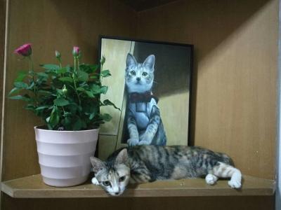 凌振宁日记-油画写实猫~~~“主人，什么时候带我出去玩，在家好无聊啊~”【图6】