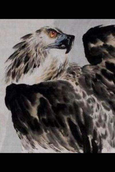 王贵烨日记-我画的鹰就是以写实写意之中，着重刻画天宇霸主为我独尊的王者气质、表现出它的机敏和【图6】