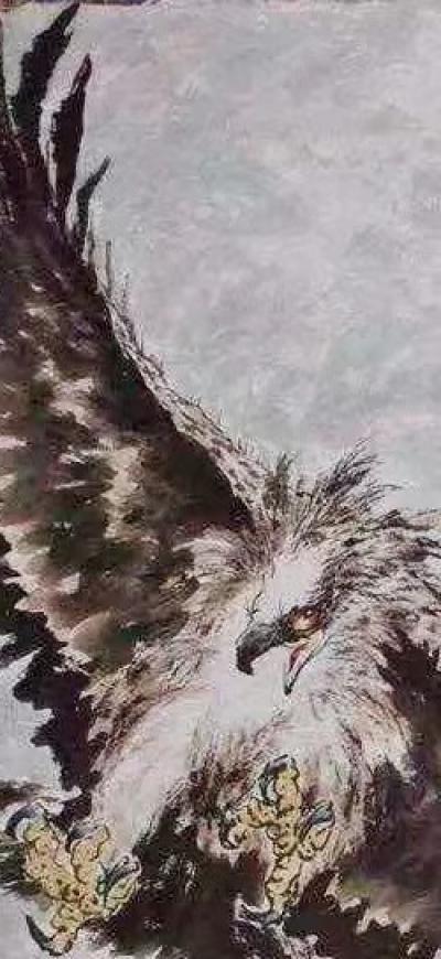 王贵烨日记-我画的鹰就是以写实写意之中，着重刻画天宇霸主为我独尊的王者气质、表现出它的机敏和【图1】