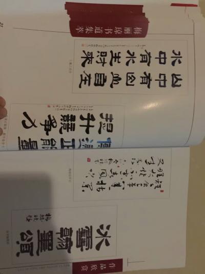 梅丽琼日记-由中国文化出版社出版“李燕题词”的《梅丽琼书道集萃》70页码画册回了！……【图8】