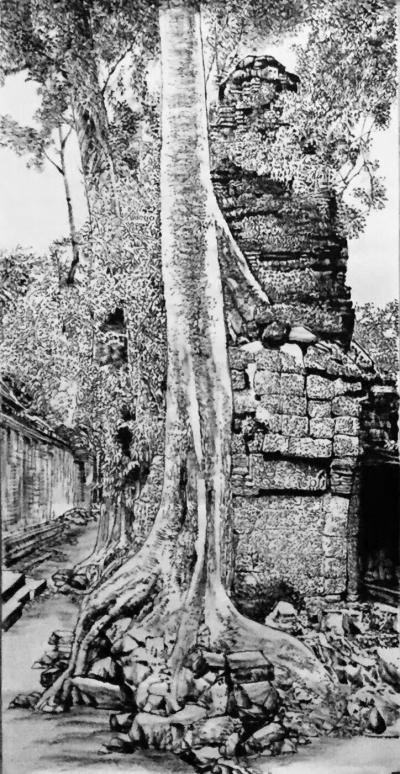 马培童日记-带你走进柬埔寨，我画吴哥窟的大榕树，生命力极强，都生长在石窟上，这里充满了生态之【图3】