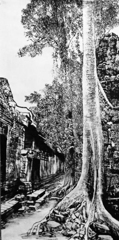 马培童日记-带你走进柬埔寨，我画吴哥窟的大榕树，生命力极强，都生长在石窟上，这里充满了生态之【图6】