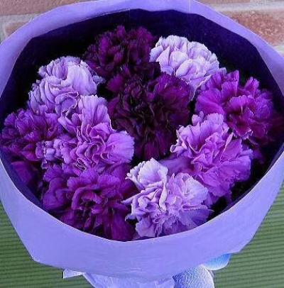 罗虹明生活-紫色代表优雅，高贵，自信，是女人最喜欢的色彩，祝女神们健康快乐！
罗虹明【图2】