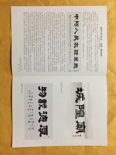 梅丽琼荣誉-由“翰墨国艺文化研究院”主办机构发行的《人民喜爱的书画家》该书在“中国东方航空”【图4】