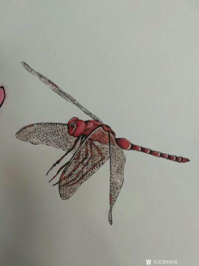 谷风日记-新作动物小品一组《蜻蜓》《蝴蝶》《牵牛》《知了》，与大家分享。
谷风【图1】