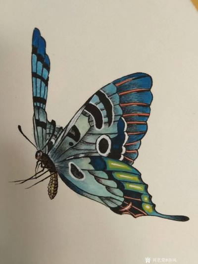 谷风日记-新作动物小品一组《蜻蜓》《蝴蝶》《牵牛》《知了》，与大家分享。
谷风【图2】
