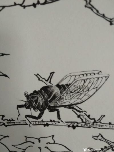 谷风日记-新作动物小品一组《蜻蜓》《蝴蝶》《牵牛》《知了》，与大家分享。
谷风【图4】