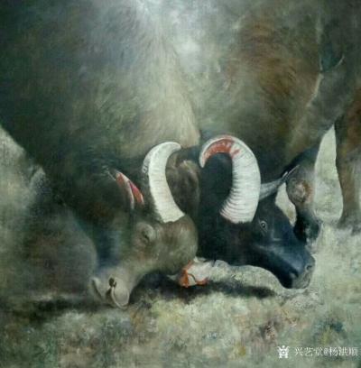 杨洪顺日记-油画《牛王争霸》
苗族是一个敬牛、爱牛、崇拜牛的民族，他们把牛视为健康、力量、【图5】