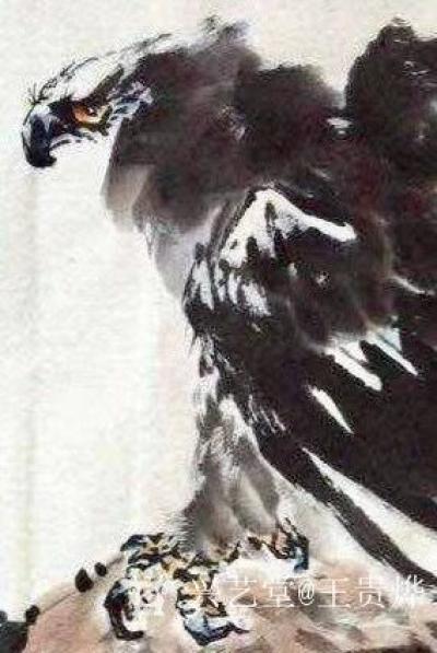 王贵烨日记-我画的鹰就是以写实写意之中，着重刻画天宇霸主为我独尊的王者气质、表现出它的机敏和【图1】