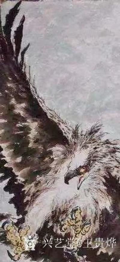王贵烨日记-我画的鹰就是以写实写意之中，着重刻画天宇霸主为我独尊的王者气质、表现出它的机敏和【图6】