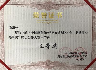 粟盛林荣誉-省级获奖证书【图2】