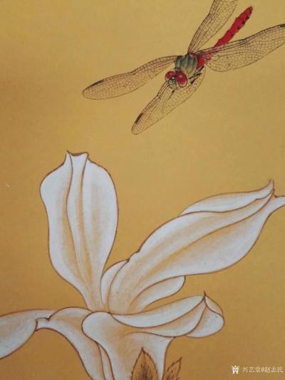 赵志民日记-工笔画小动物《蜻蜓飞上玉搔头》尺寸（33.33厘米），新作尚未落款，请欣赏品评【图3】