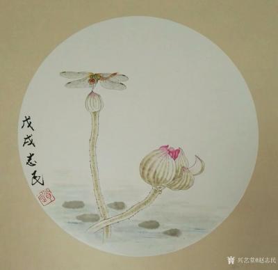 赵志民日记-工笔画蜻蜓：《小荷才露尖尖角，早有蜻蜓立上头。》尺寸（45*45厘米），请欣赏品【图1】