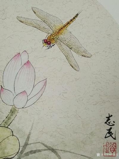 赵志民日记-工笔画蜻蜓：《小荷才露尖尖角，早有蜻蜓立上头。》尺寸（45*45厘米），请欣赏品【图4】