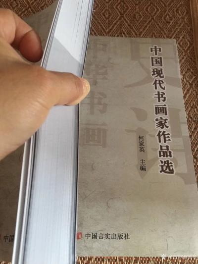 梅丽琼日记-由何家英主编，（苏士澍注）中国言实出版社出版的《中国现代书画家作品选》今日到我画【图2】