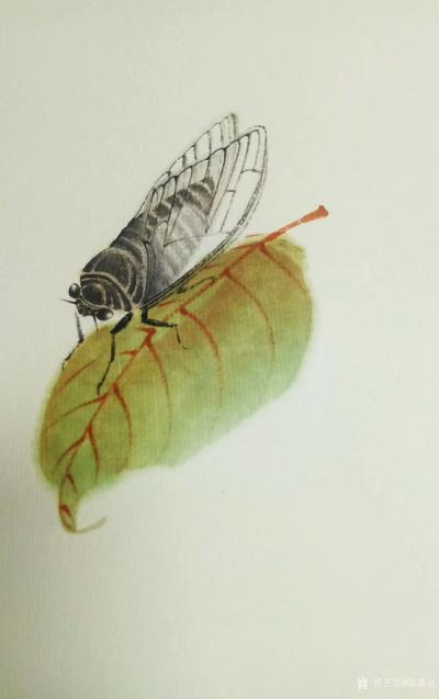 张清永日记-螳螂捕蝉，黄雀在后。试试画小动物，扇面《加官图》，请指正【图3】