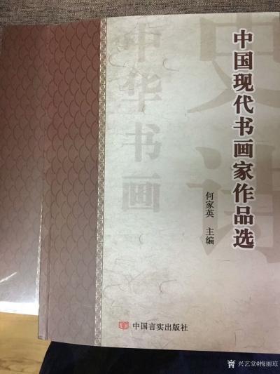 梅丽琼收藏-由中国言实出版社的《中国现代书画家作品选》在新华书店发行，第二次印刷，上次几个要【图2】