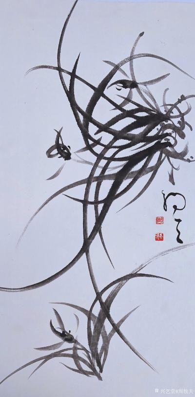 周牧天日记-周牧天国画兰花，40幅【图6】