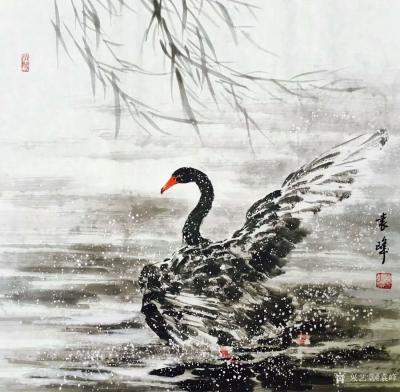 袁峰日记-国画花鸟画《黑天鹅》三幅，尺寸68x68cm，祝福成双成对，美好生活。【图1】