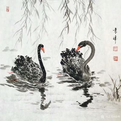 袁峰日记-国画花鸟画《黑天鹅》三幅，尺寸68x68cm，祝福成双成对，美好生活。【图2】