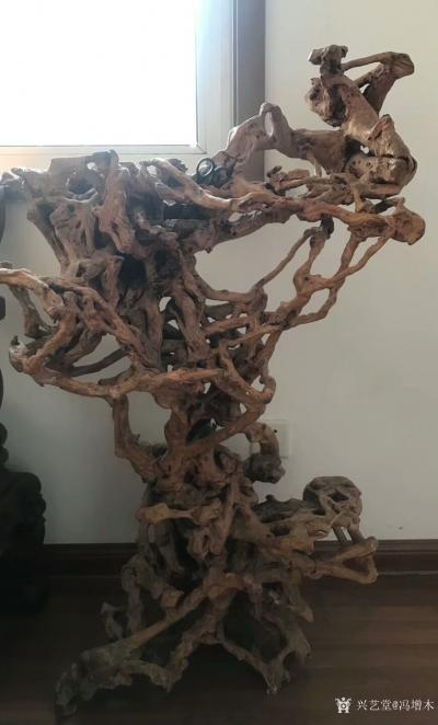 冯增木收藏-前些年所购置的根雕作品，现在市场上较少见了，所以有些项目的收藏是有时限性的。今天【图6】