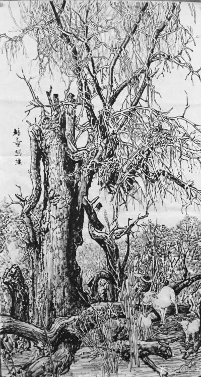 马培童日记-行万里路之六，胡扬～三千年的守候。去年到了内蒙胡扬林景区写生采风 ，大漠英雄树，【图5】