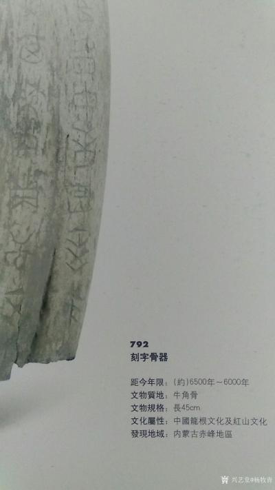 杨牧青日记-骨刻、玉器、文字、年代、地点、工艺、技术、形制……这做何解释呢？这里红山文化骨刻【图1】