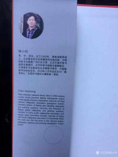 陈小明收藏-12月9日收到成功入选《2019＂一带一路中欧意象》一一欧洲艺术邮票人物＂成功登【图4】