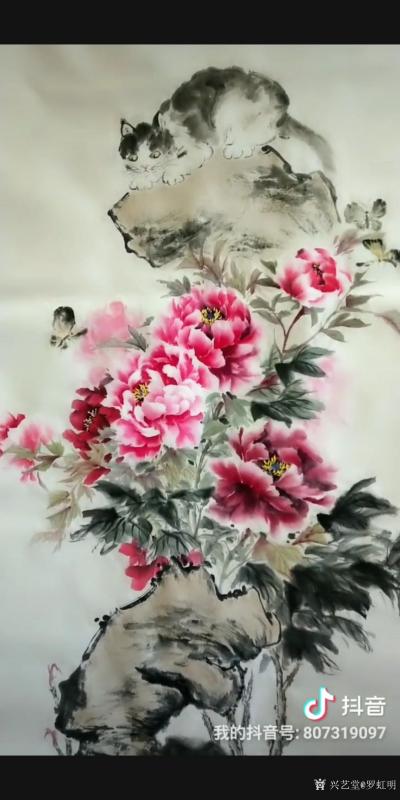罗虹明日记-国画花鸟画牡丹《富贵吉祥》尺寸四尺整张。猫和蝴蝶在中国画寓意是是耄耋吉祥。【图2】
